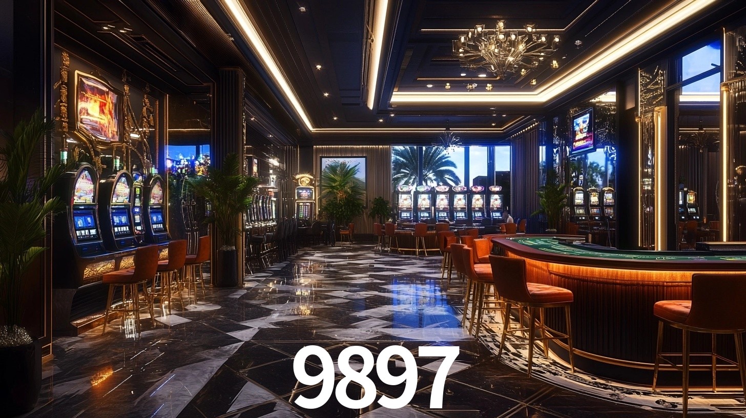 Premium Interface 9897
